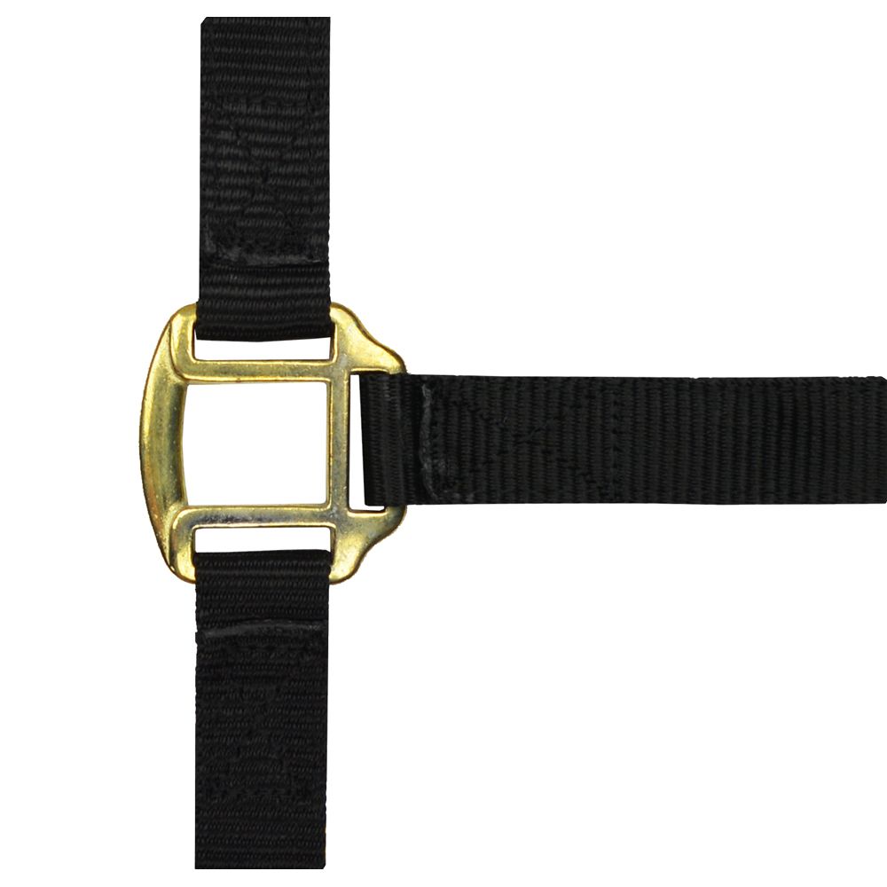 Licol nylon noir doublé cuir pour pur-sang