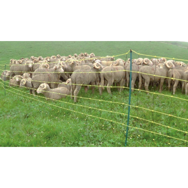 Horinetz, 50M/90Cm,1Sp,2*O.Lei