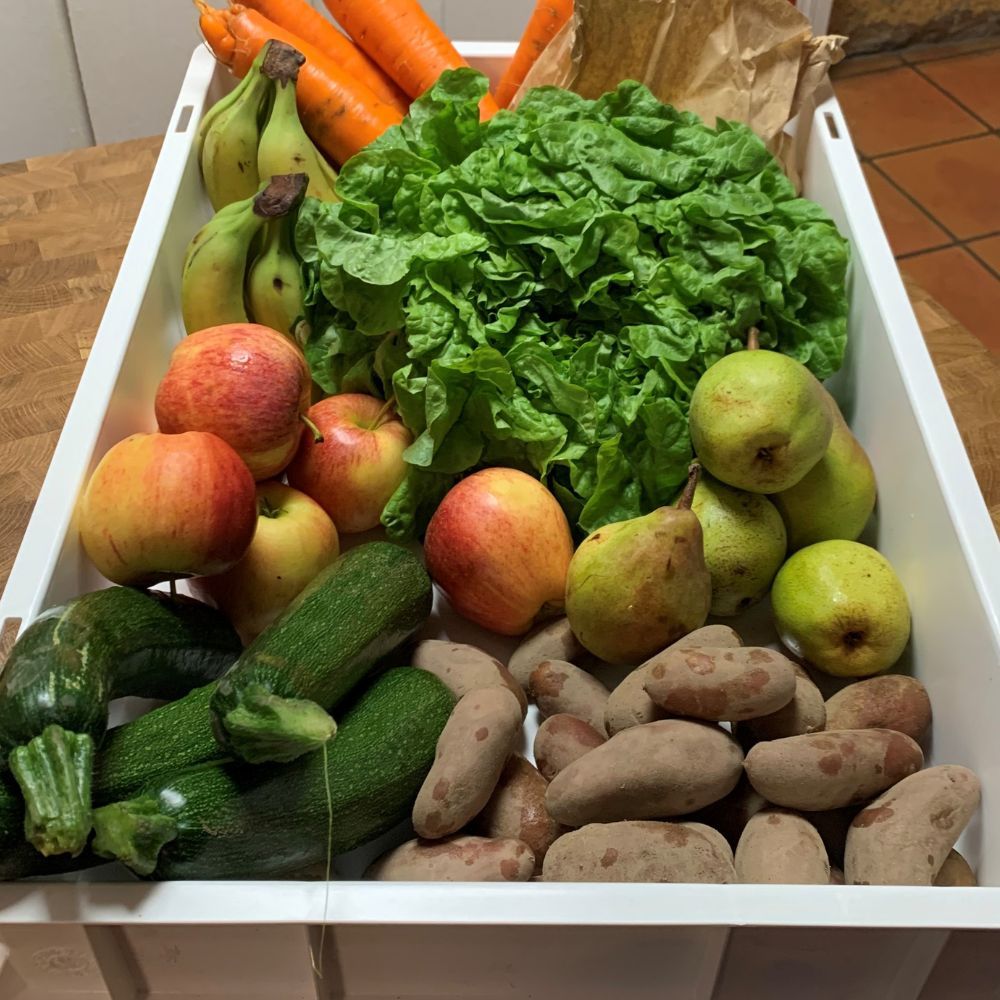 Professioneller rechteckiger Lebensmittelbehälter aus Kunststoff 20L