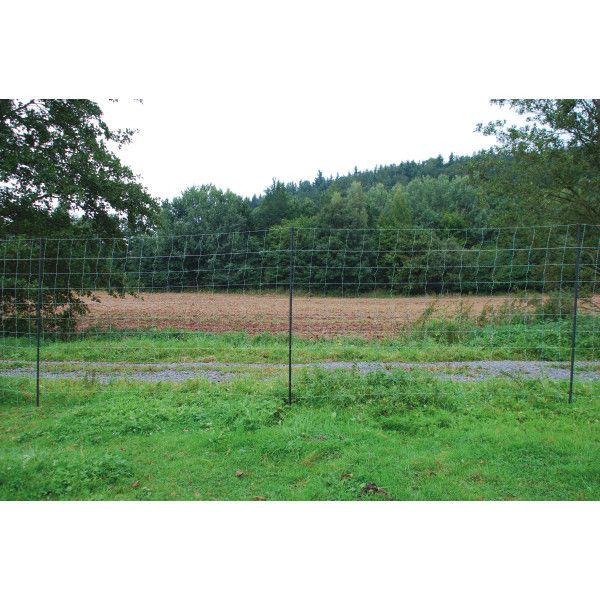 Rotwild-/Wolfsnetz, 170 cm