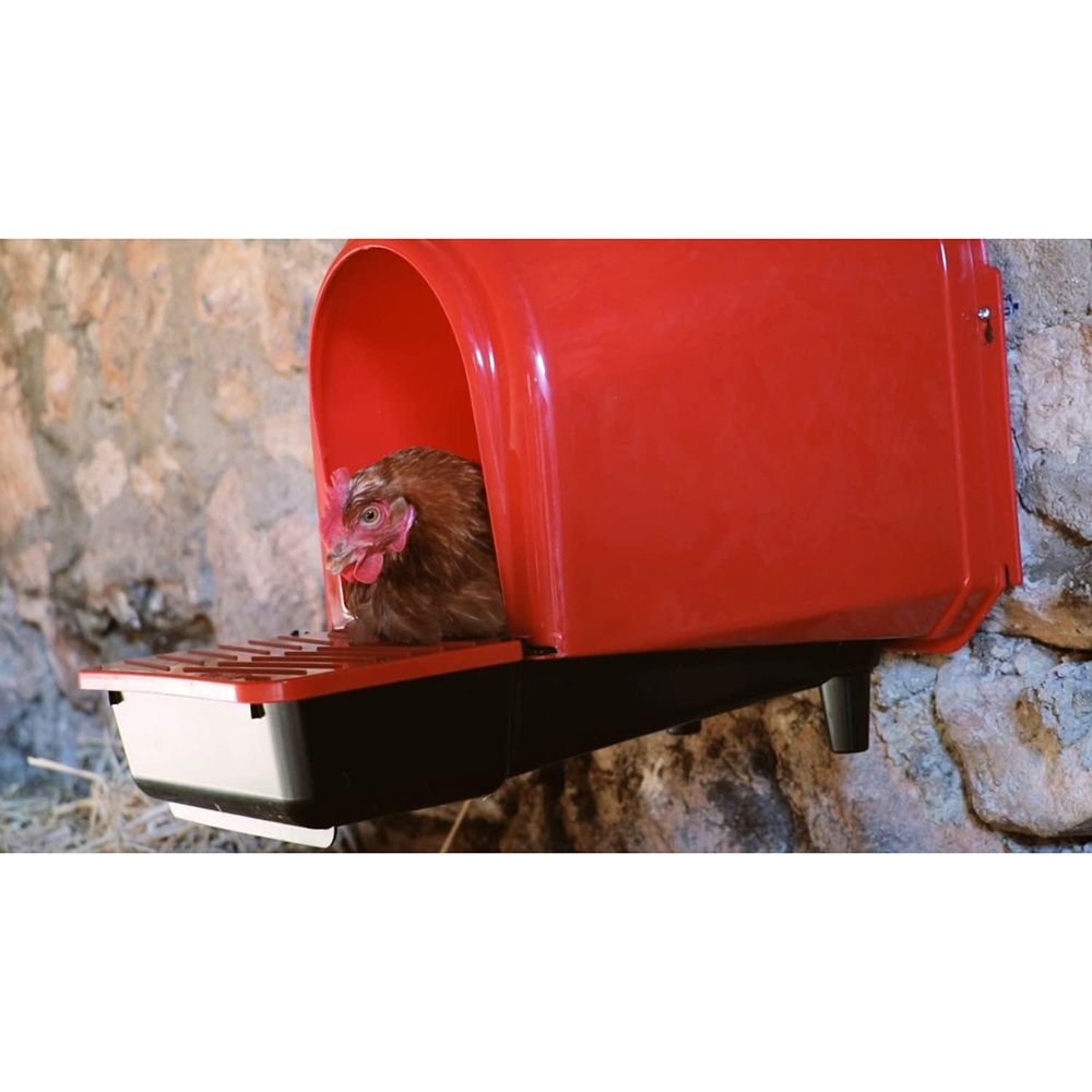 Pondoir avec compartiment oeufs COPELE