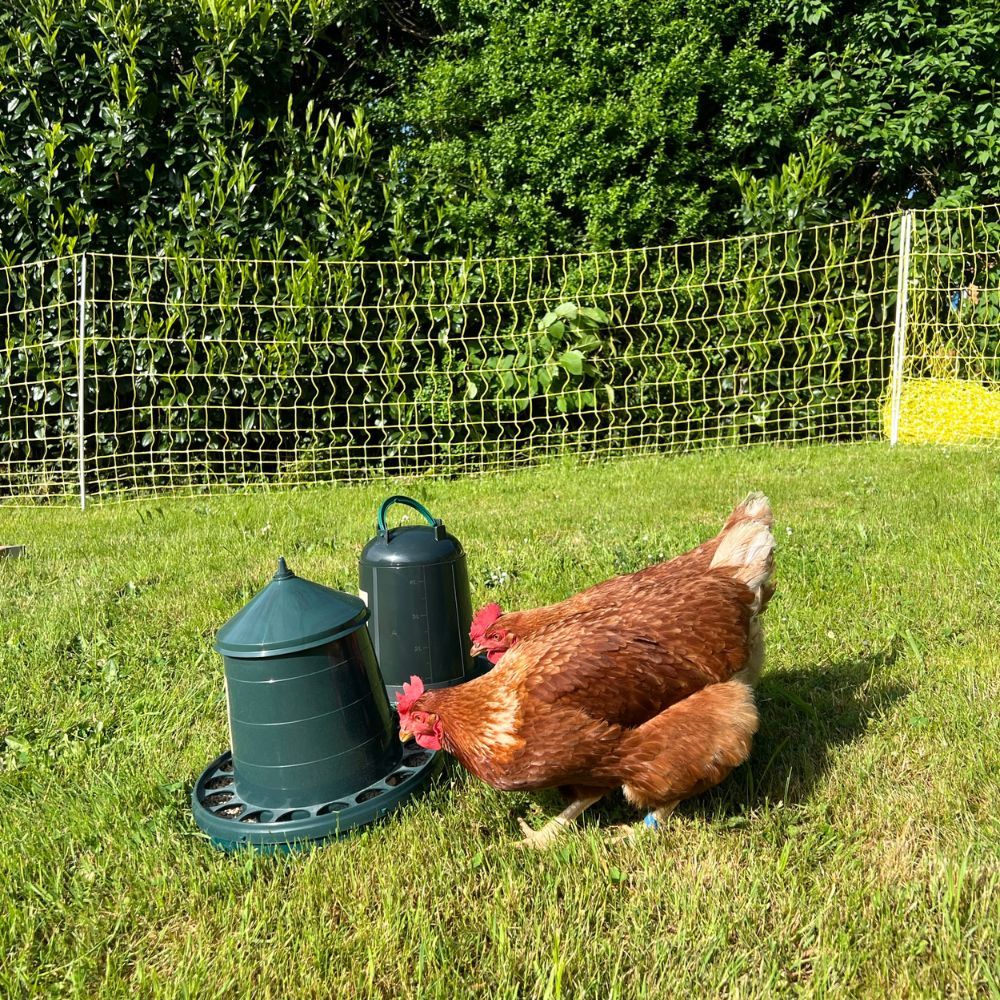 Nourrisseur en plastique recyclé 4kg CHICK'A