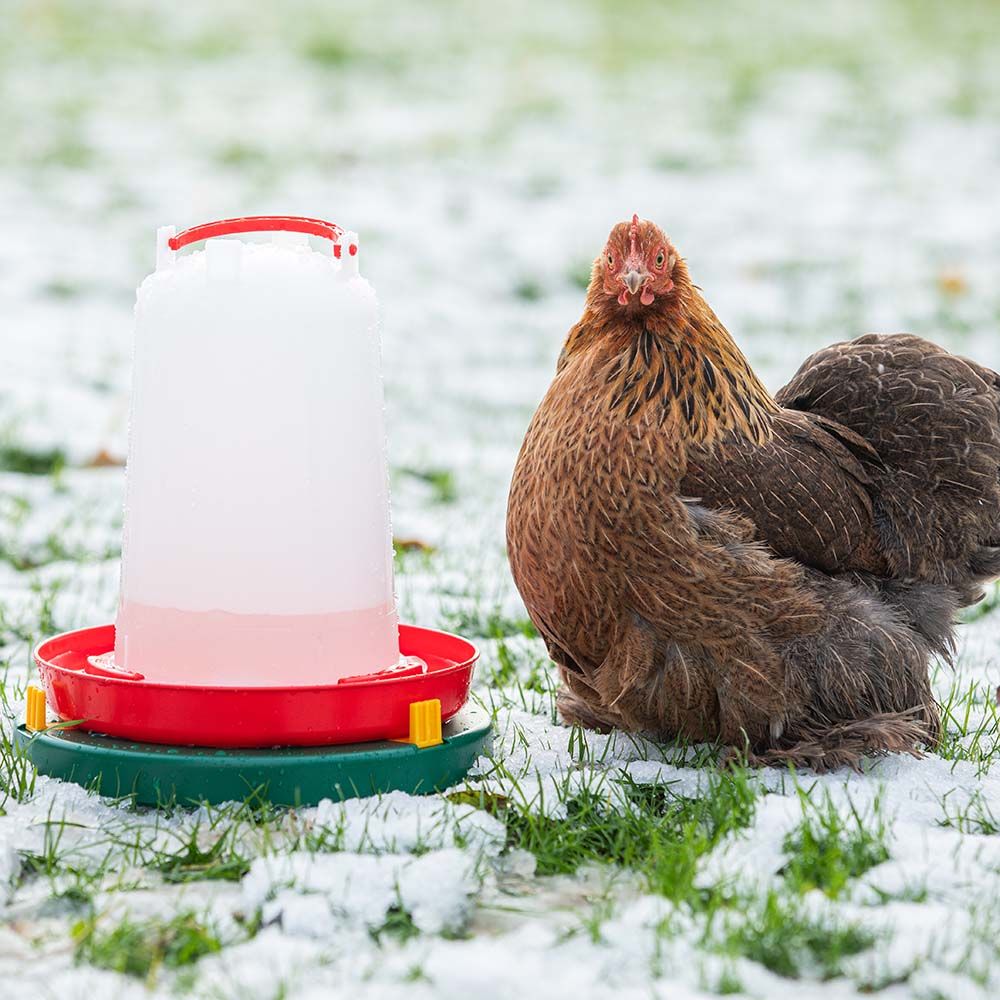 Chauffe abreuvoir Ø 30 cm