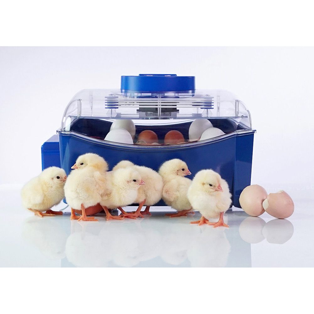 Couveuse automatique BOROTTO LUMIA 16 oeufs