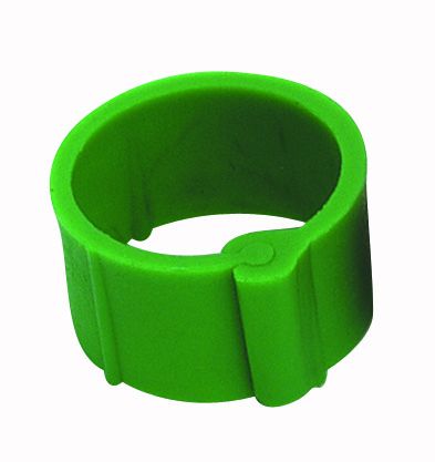 Grüne Clipringe 20Mm X50