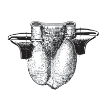 Bloodless castrator - 48 cm