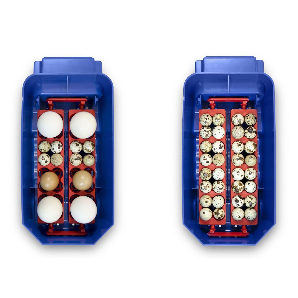 Automatischer Brutapparat Lumia 8