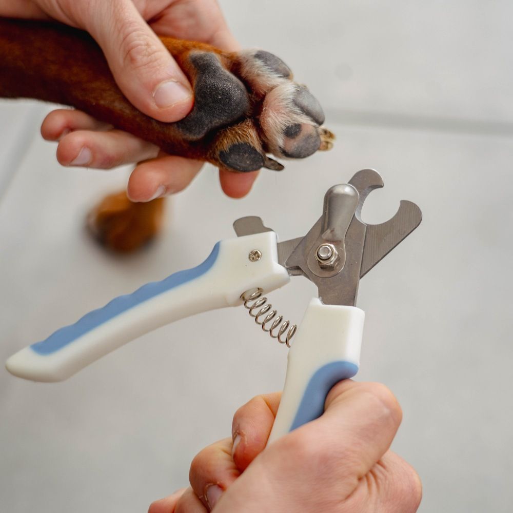 Nail clippers for dogs and cats PURALIA