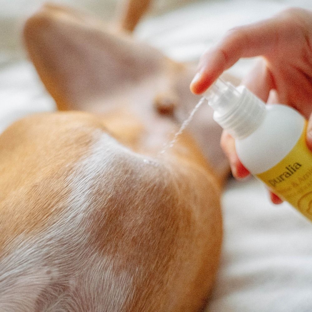 Reinigende und regenerierende Lotion 150 ml PURALIA