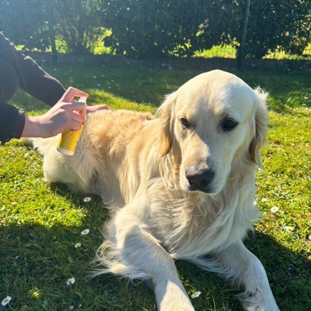 Reinigende und regenerierende Lotion 150 ml PURALIA