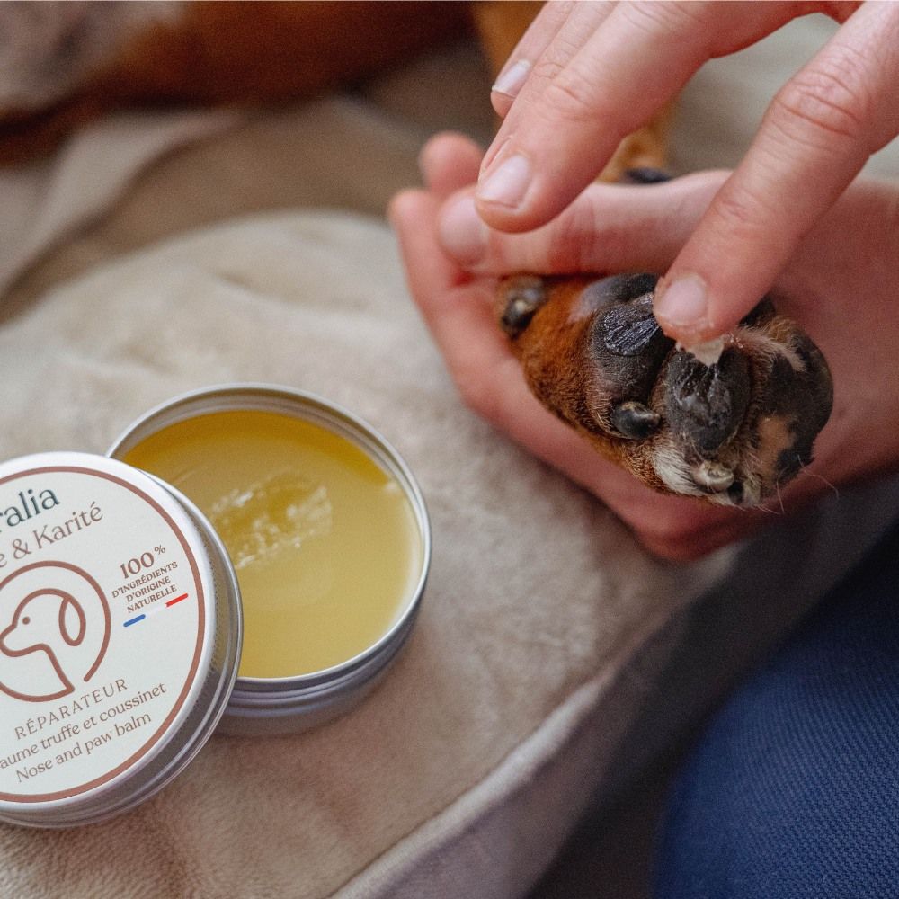 Pflegebalsam für Nase und Pfotenballen 50 ml PURALIA