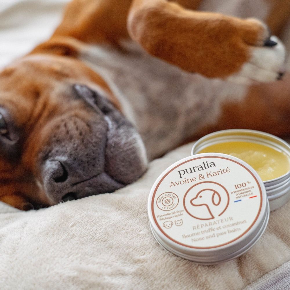 Pflegebalsam für Nase und Pfotenballen 50 ml PURALIA