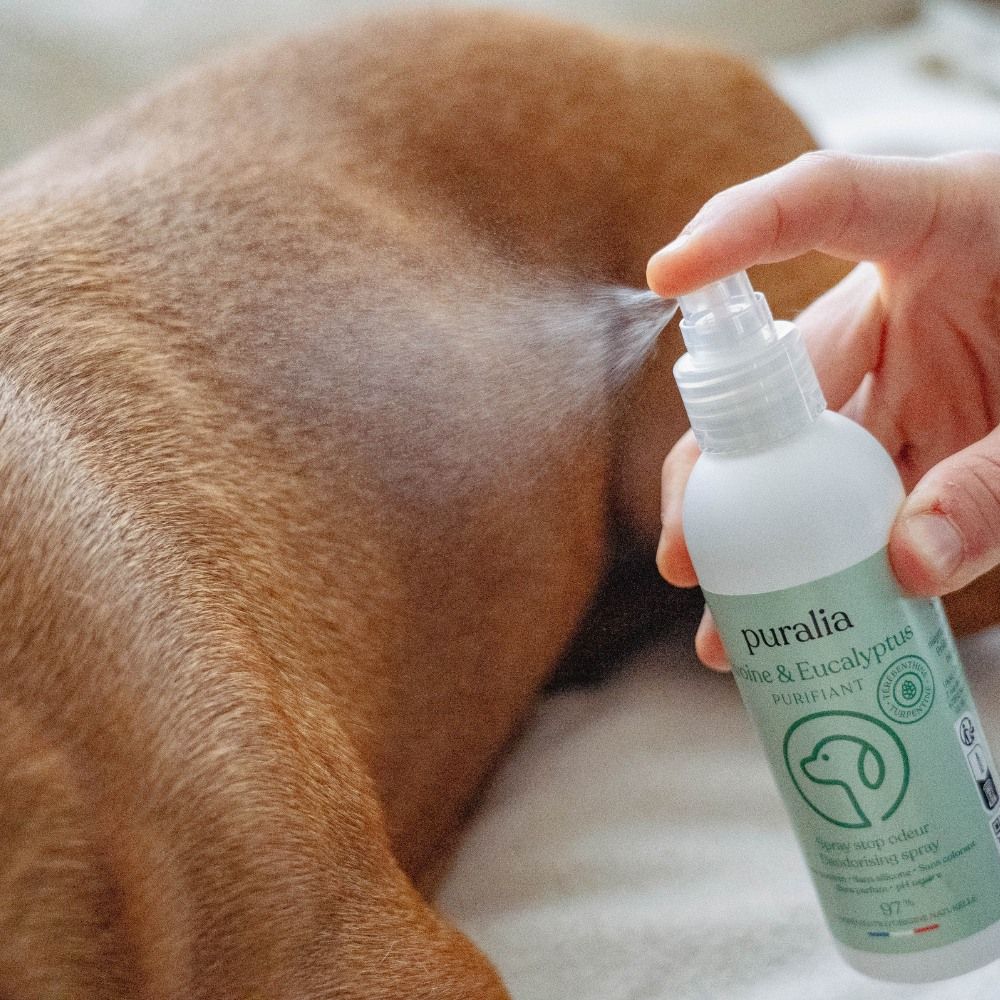 Geruchsstopper-Spray 150 ml PURALIA
