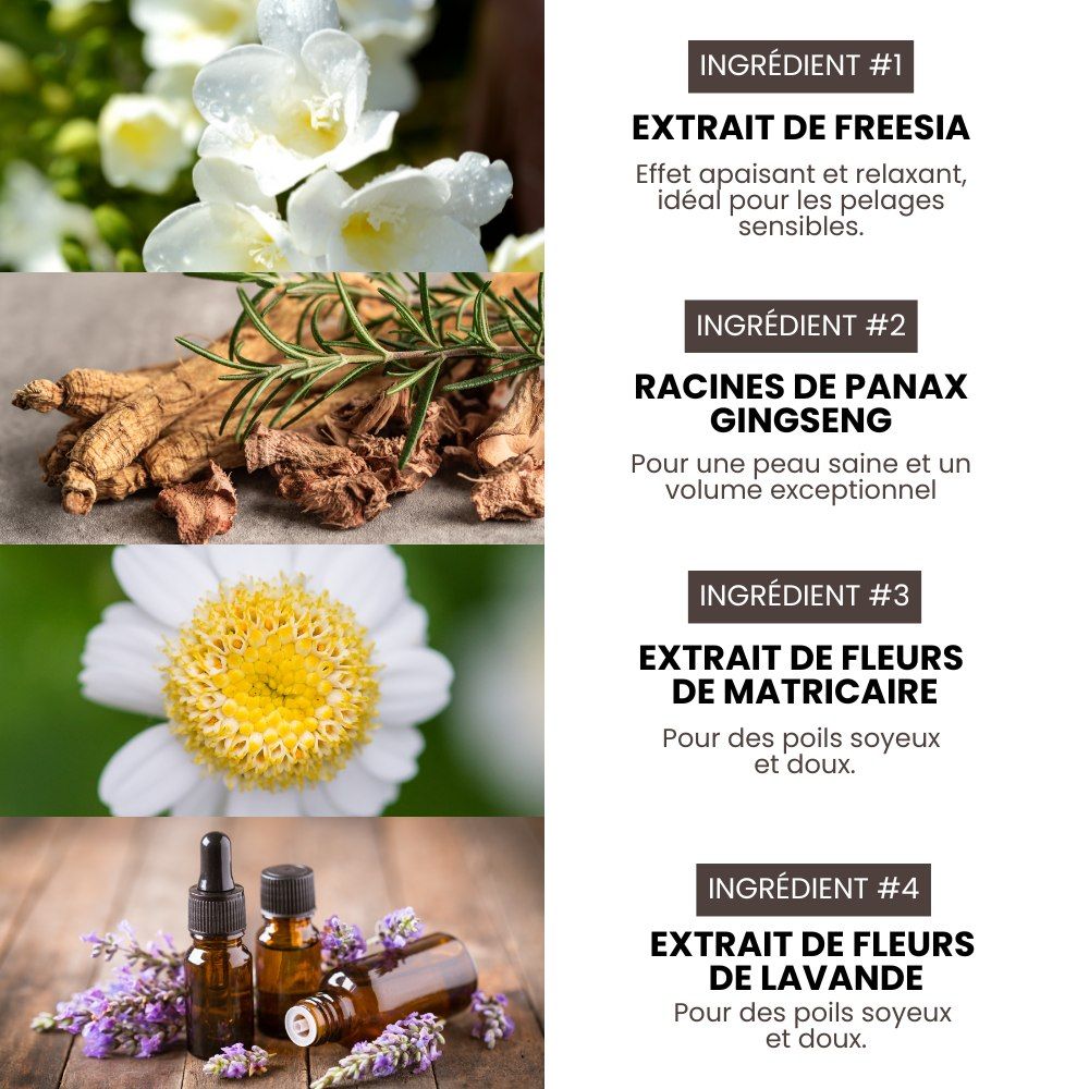 Shampoing volume naturel et hypoallergénique pour chiens 1,5 L HYPONIC