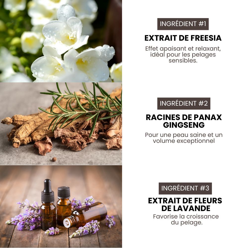 Shampoing pro hypoallergénique Premium Grooming Artist pour chiens 3,8 L spécial HYPONIC