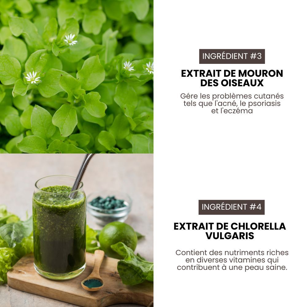 Shampoing pro nettoyant et volume pour chiens 3,8 L HYPONIC