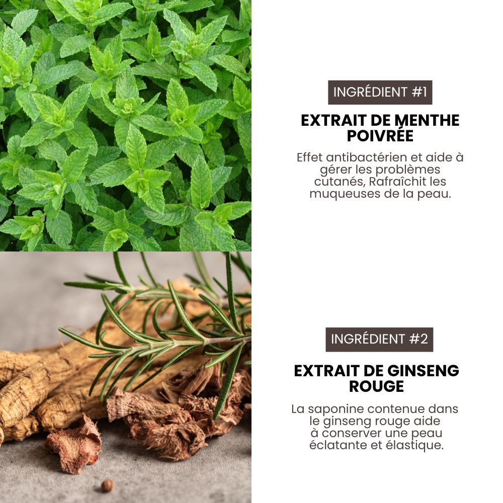 Après-shampoing pro nettoyant et volume pour chiens 3,8 L HYPONIC