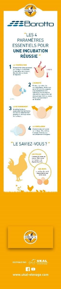 Kakémono incubation BOROTTO