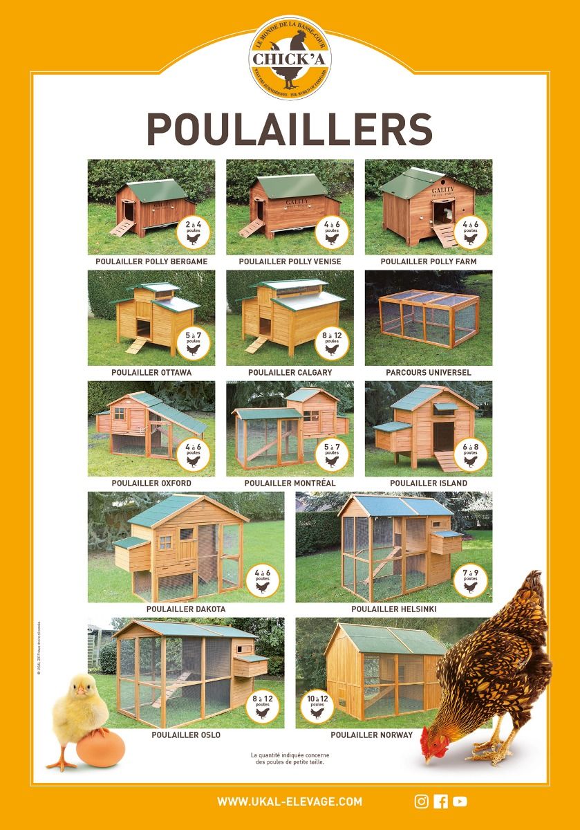 Poster poulaillers CHICK'A