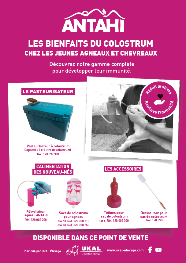 Poster de la gamme d'alimentation pour agneaux et chevreaux ANTAHI 