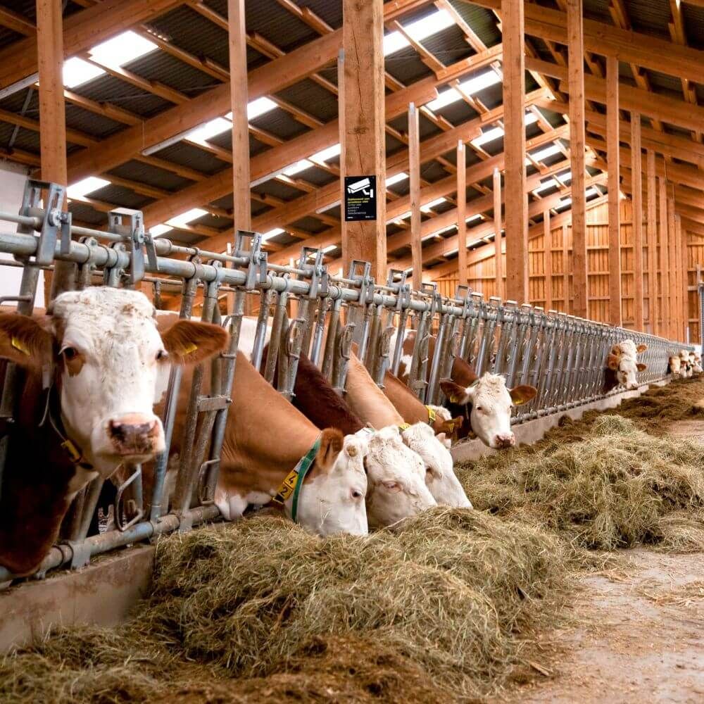 Warnschild für Überwachungskameras HORIZONT