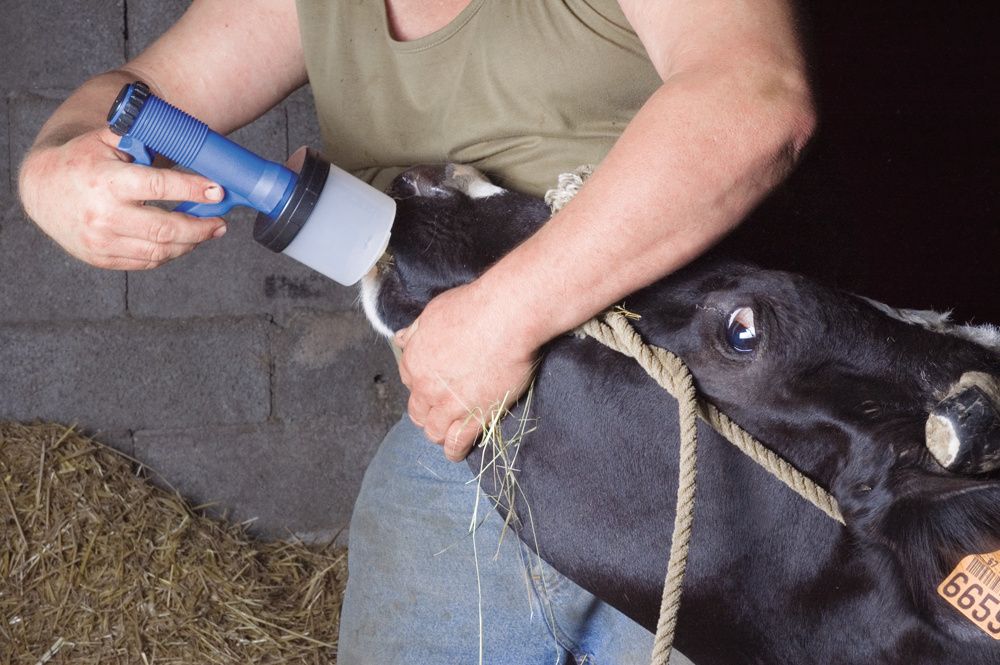 Drenching gun 300 ml - Ukal