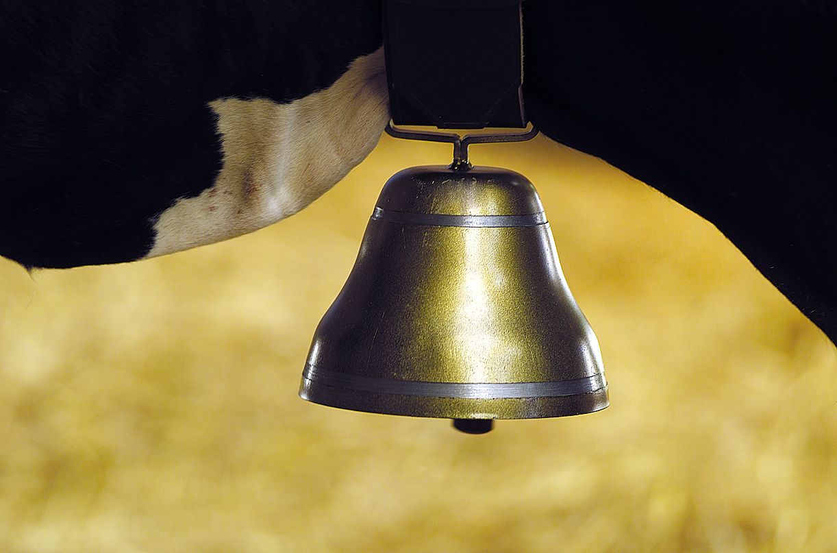 76Mm Runde Stahlglocke Bronze