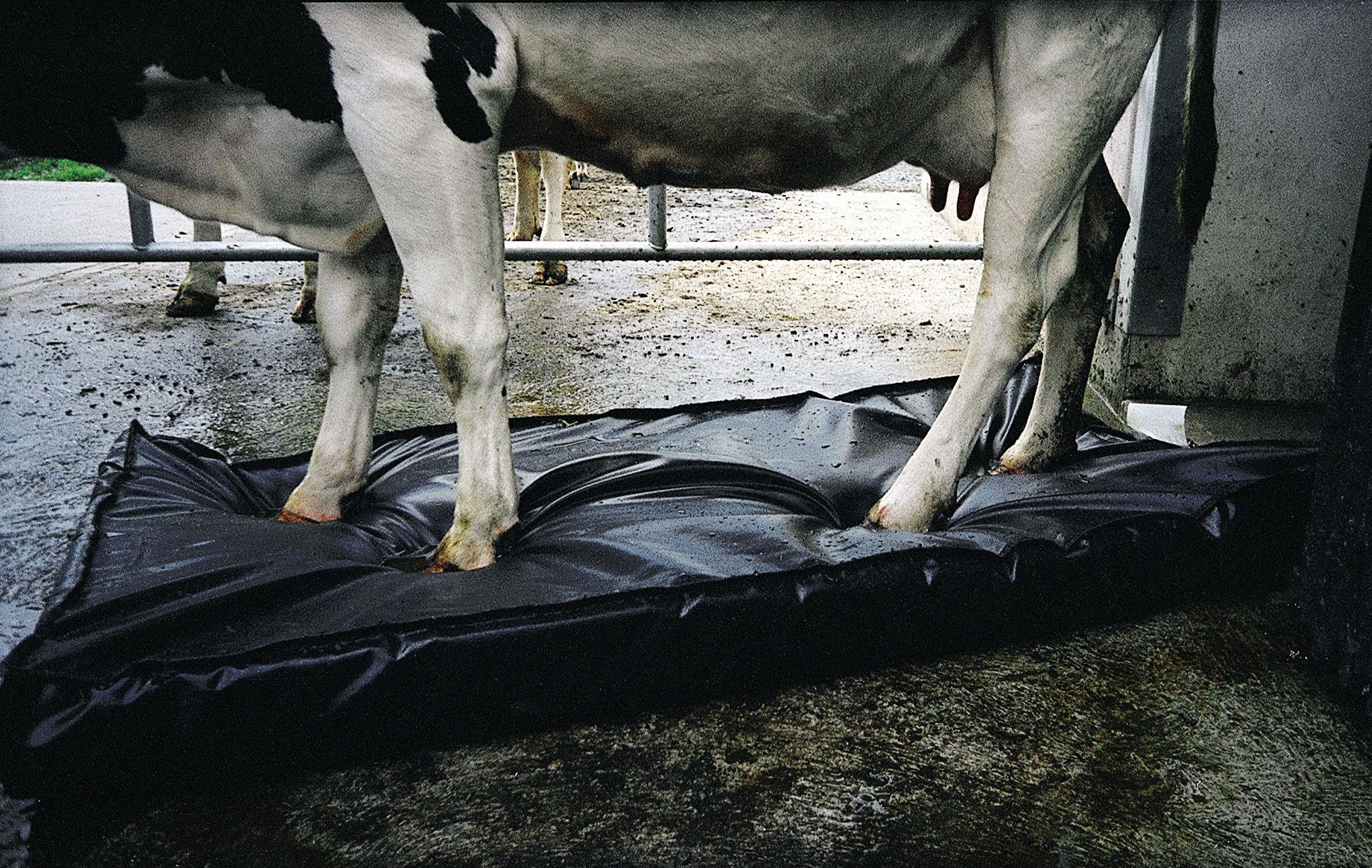 Pédiluve mousse Septicare