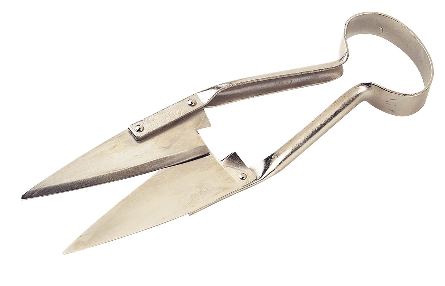 Nickel-plated sheep shear large model