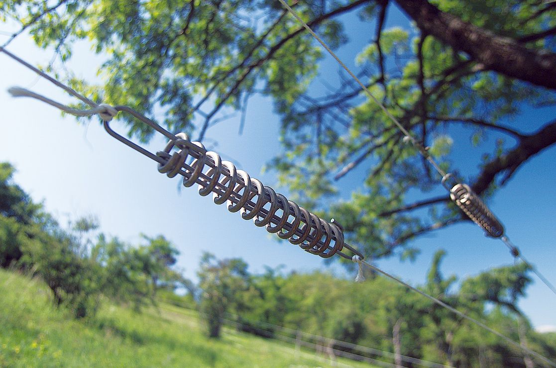 Drahtspanner Mit Feder X1