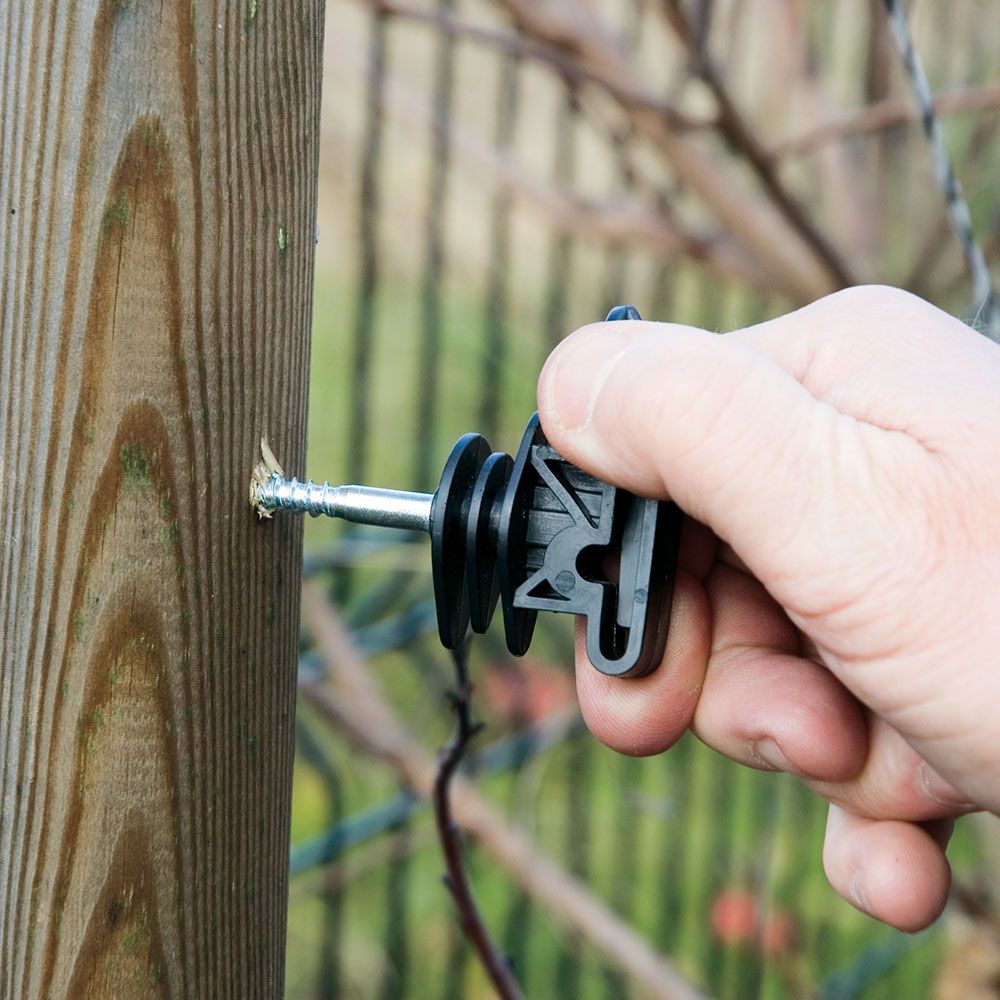 25 Insulators for tape 12 - 40 mm BEAUMONT