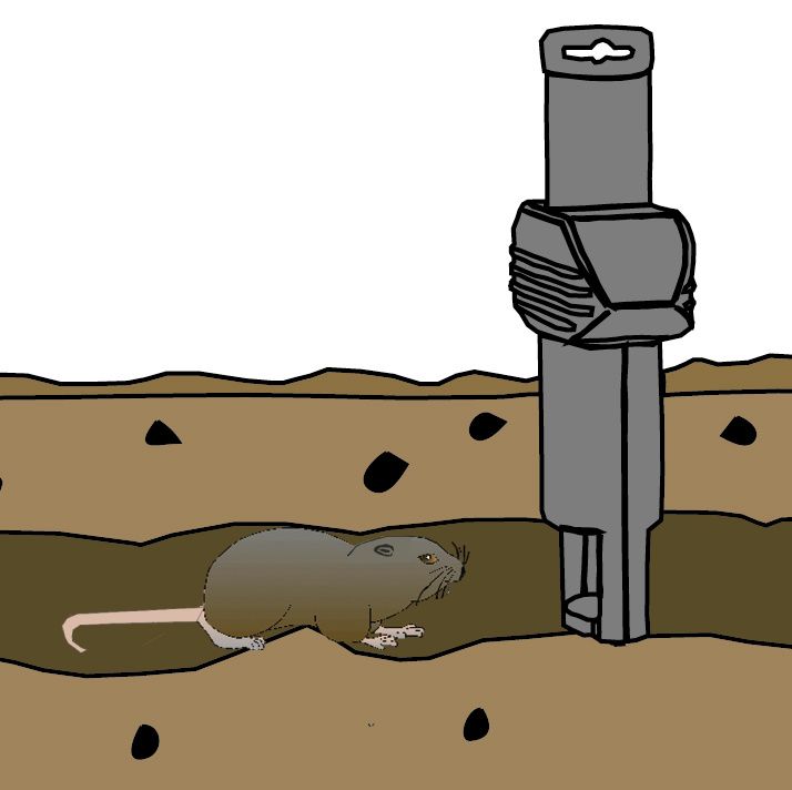 Vole trap SWISSINNO SOLUTIONS