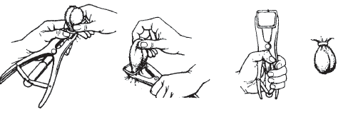 Standard rubber ring applicator