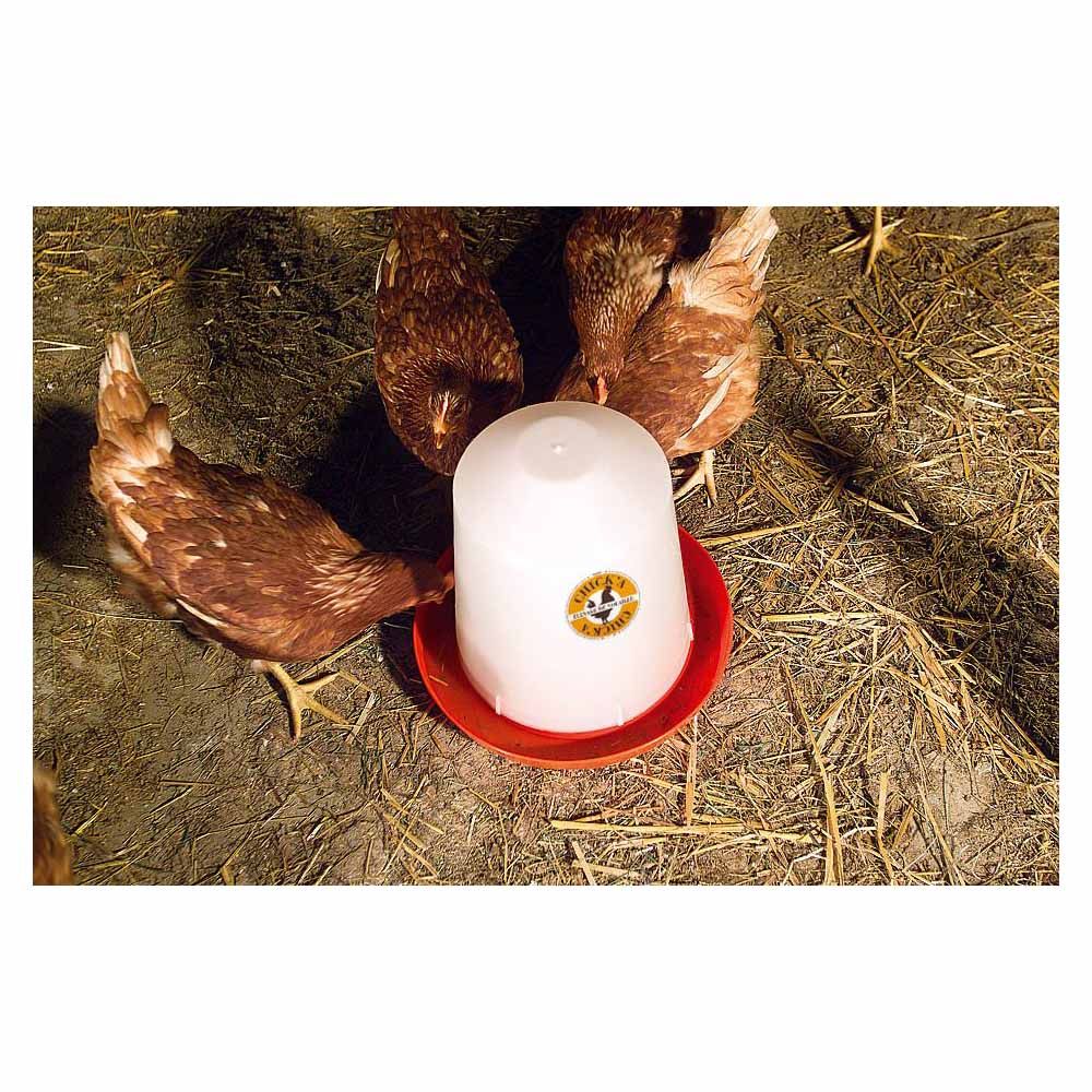 Abreuvoir en plastique 5L CHICK'A