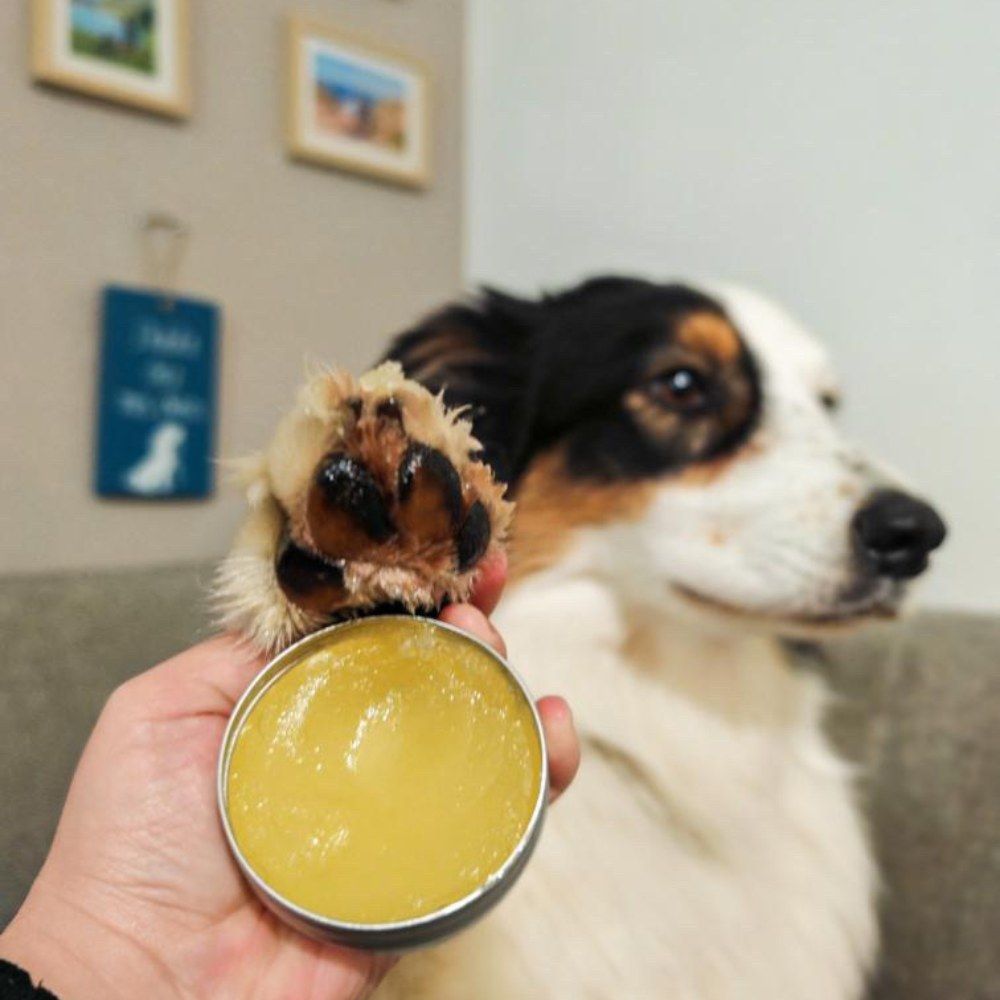 Pflegebalsam für Nase und Pfotenballen 50 ml PURALIA