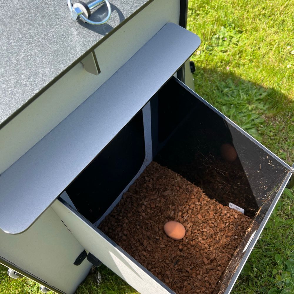 Hühnerstall für 4 Hühner Harmony by Chick'A®.