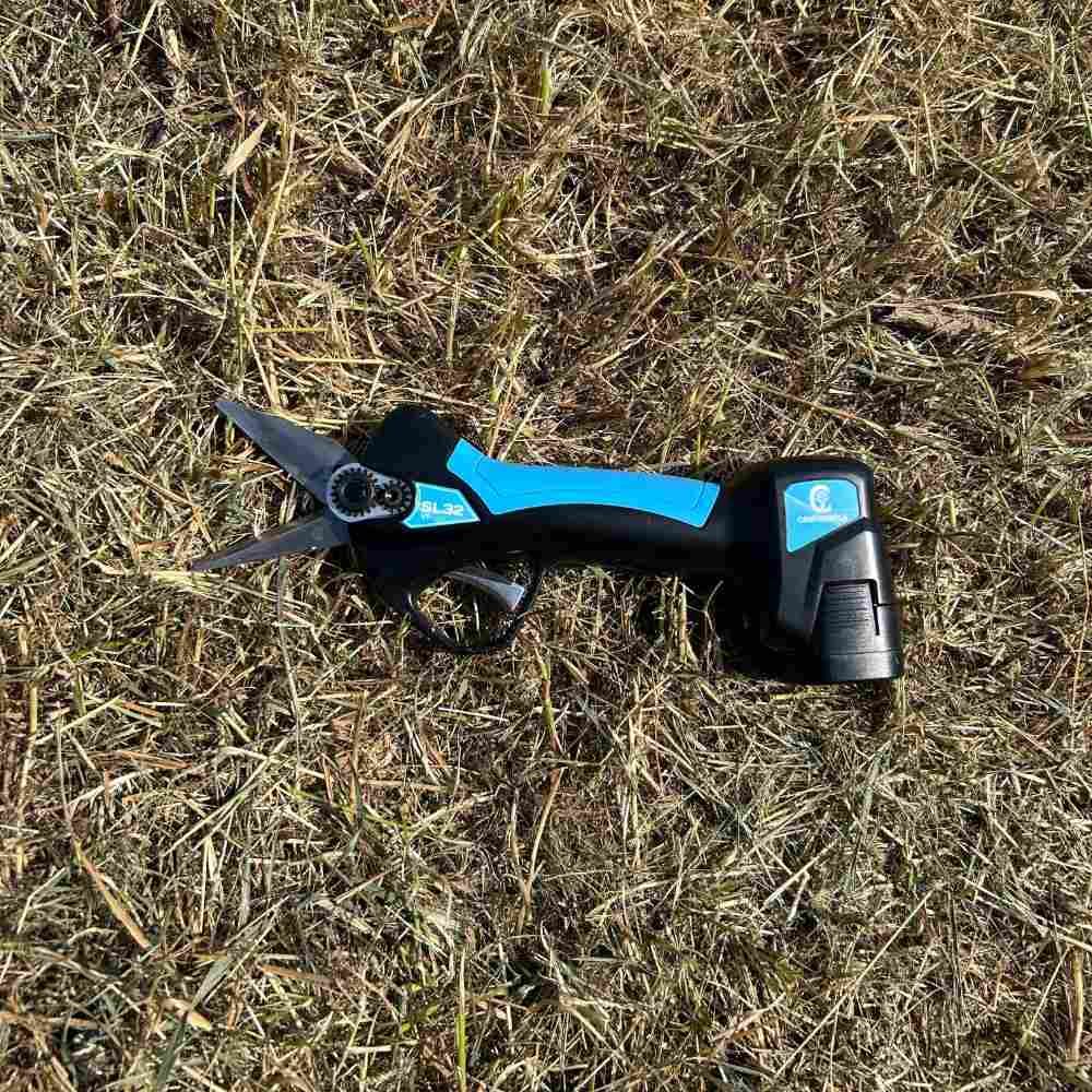 Electric hoof shears for sheep 2 batteries CAMPAGNOLA