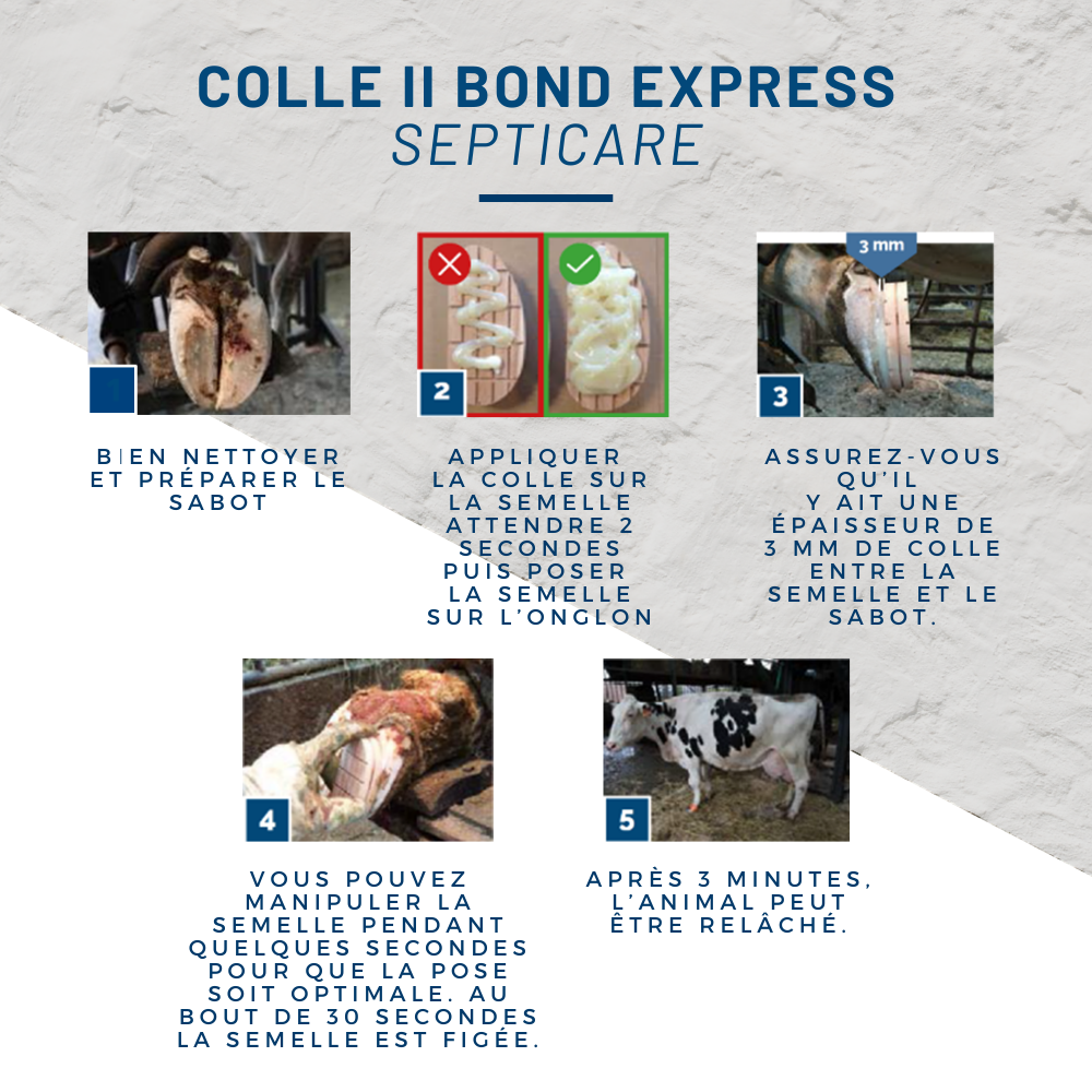 Cartouche de colle 250 ml SEPTICARE II BOND EXPRESS XL