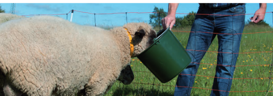 Seau plastique vert 17l