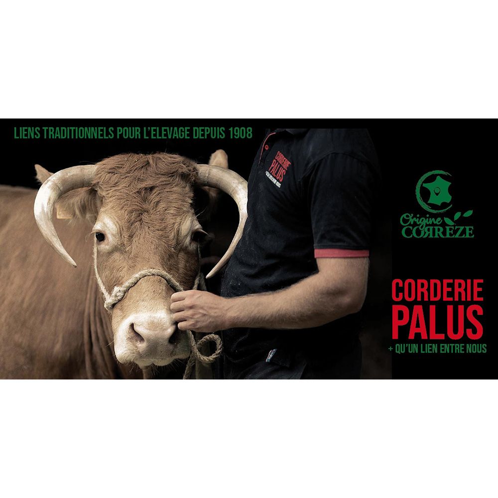 Orange Polypropylen Halfter Ø 16 mm, 3.5 m