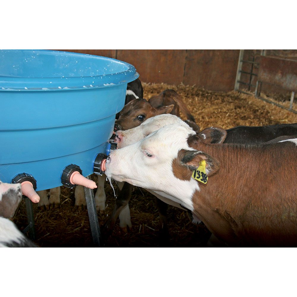  Bac d'allaitement compartimenté MM10 10 places 66L STALLION