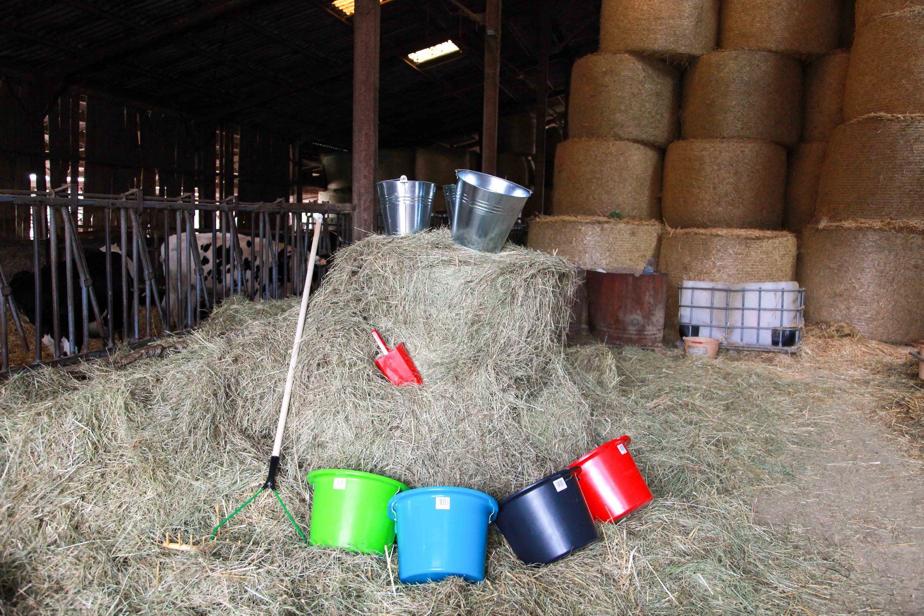 Mangeoire noire avec anse et crochets de suspension