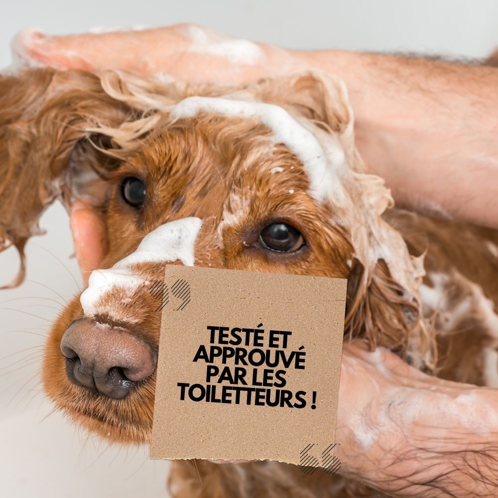 Hypo-allergenic shampoo 1L PURALIA