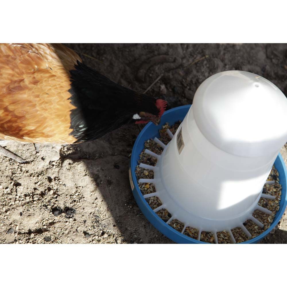 Poultry feeder «Mountain» 3 kg