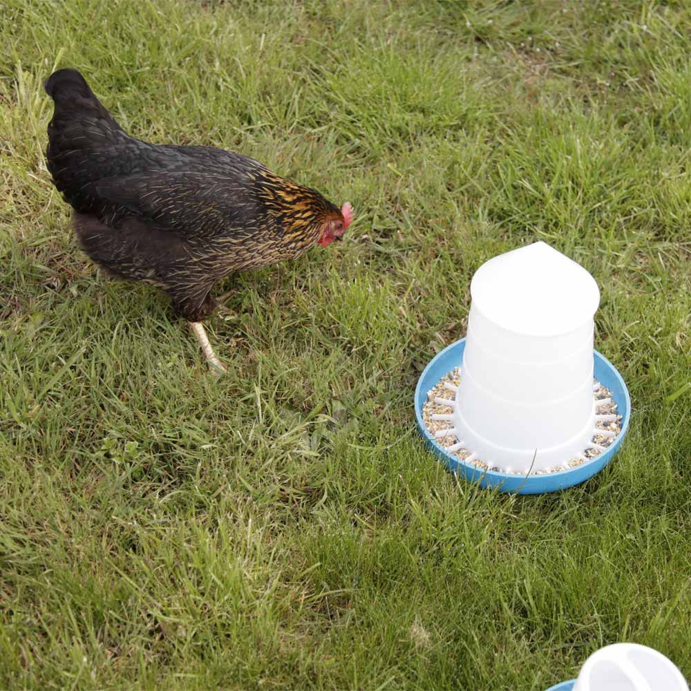 Poultry feeder «Mountain» 3 kg