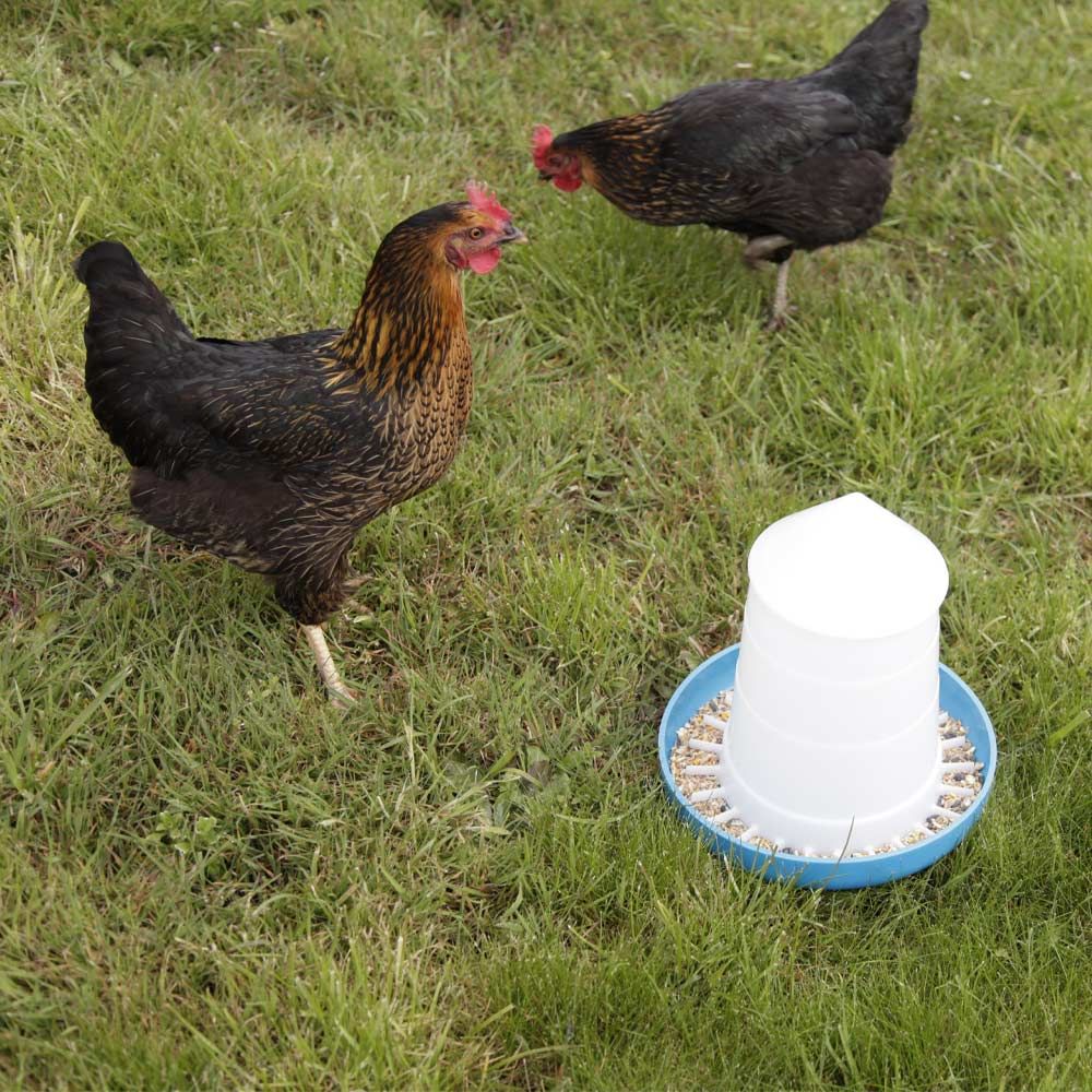 Poultry feeder «Mountain» 3 kg