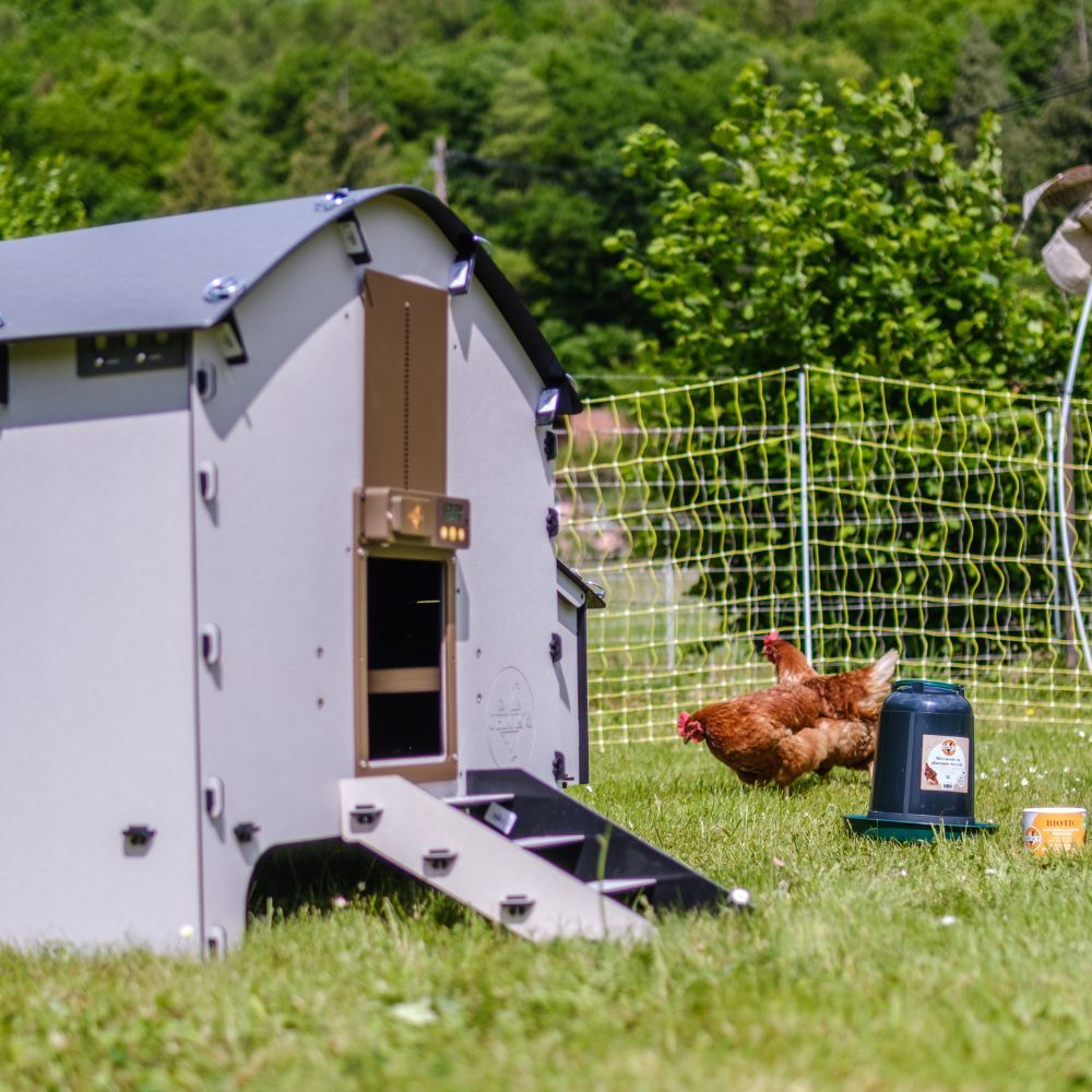 Hühnerstall für 4 Hühner Harmony by Chick'A®.