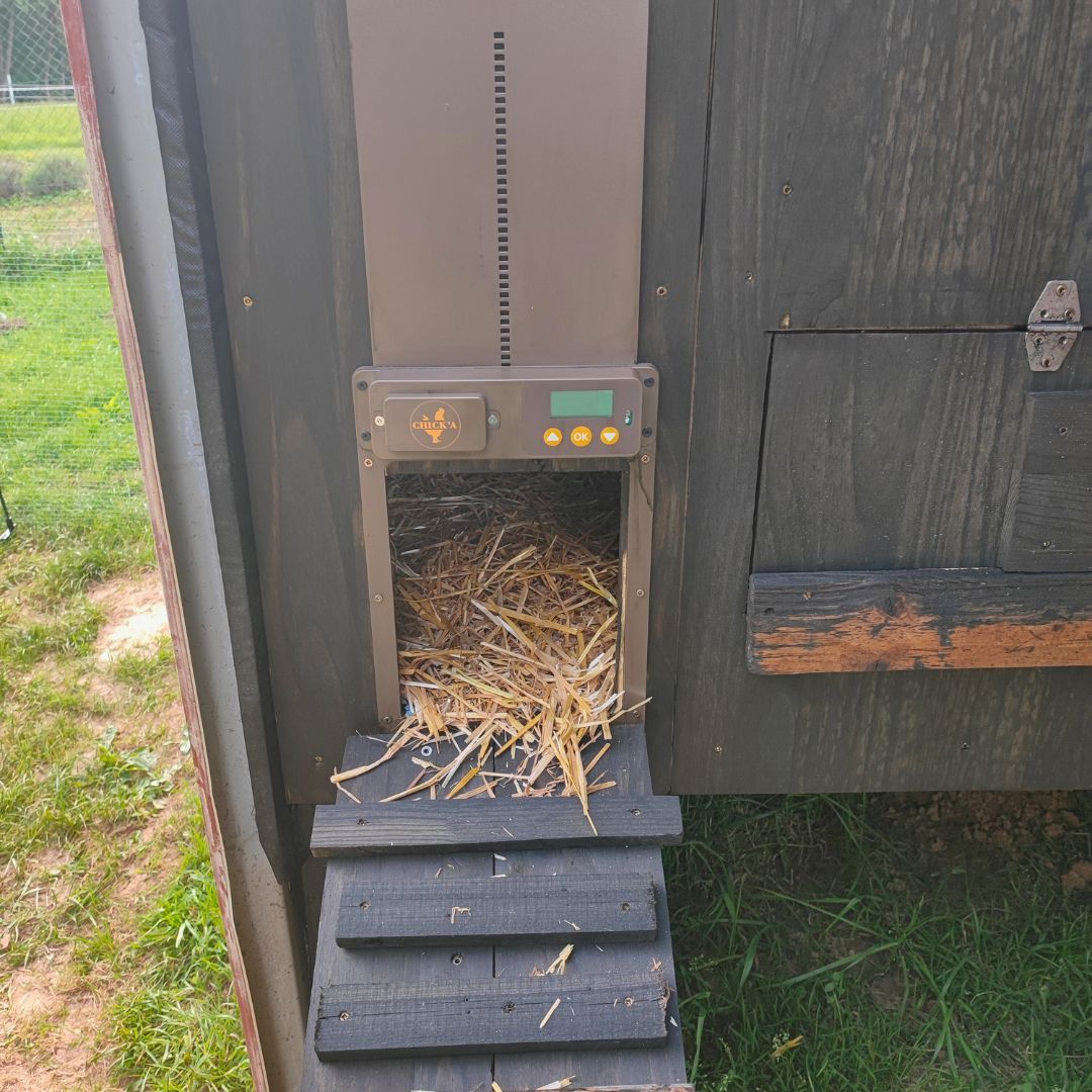 Automatic doorman for chicken coop CHICK'A