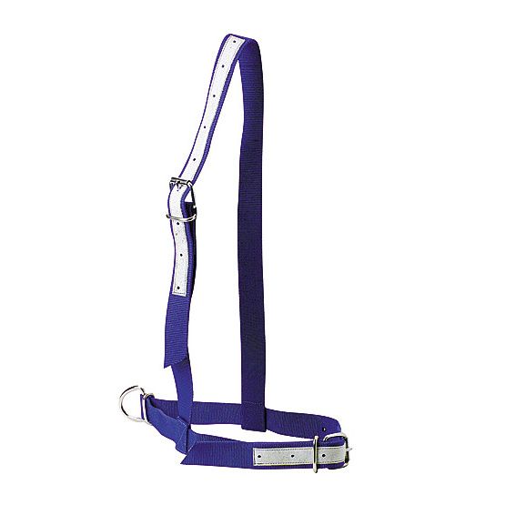 Blue nylon cow halter