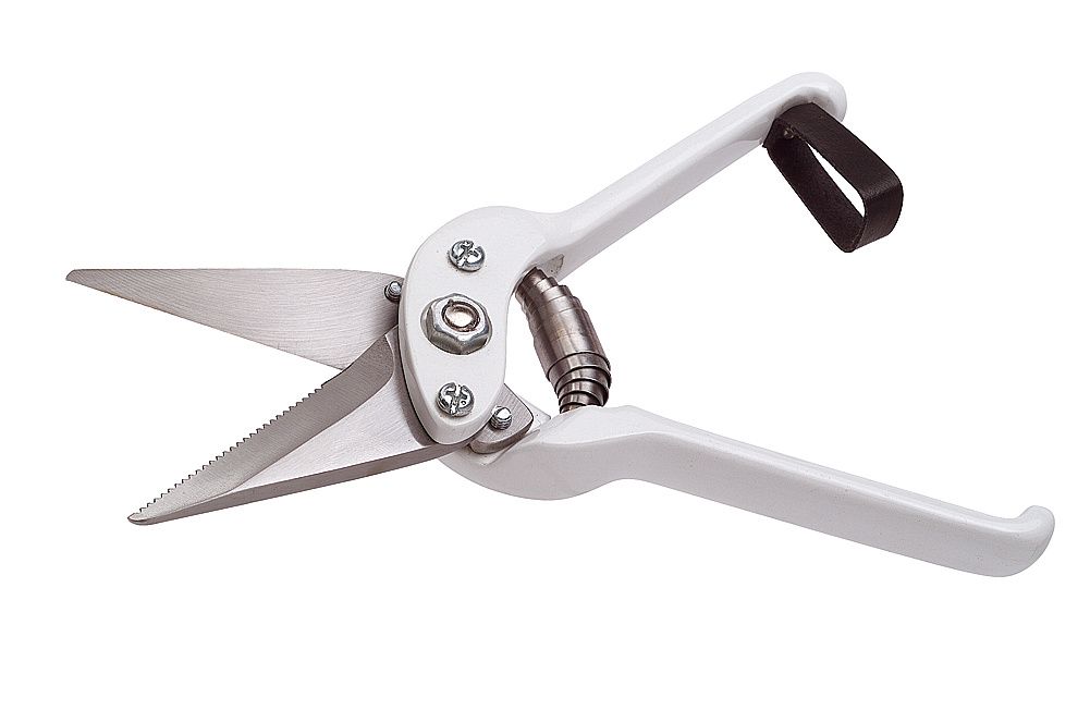 White sheep hoof cutters serrated blades
